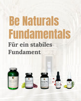 Fundamentals Bundle