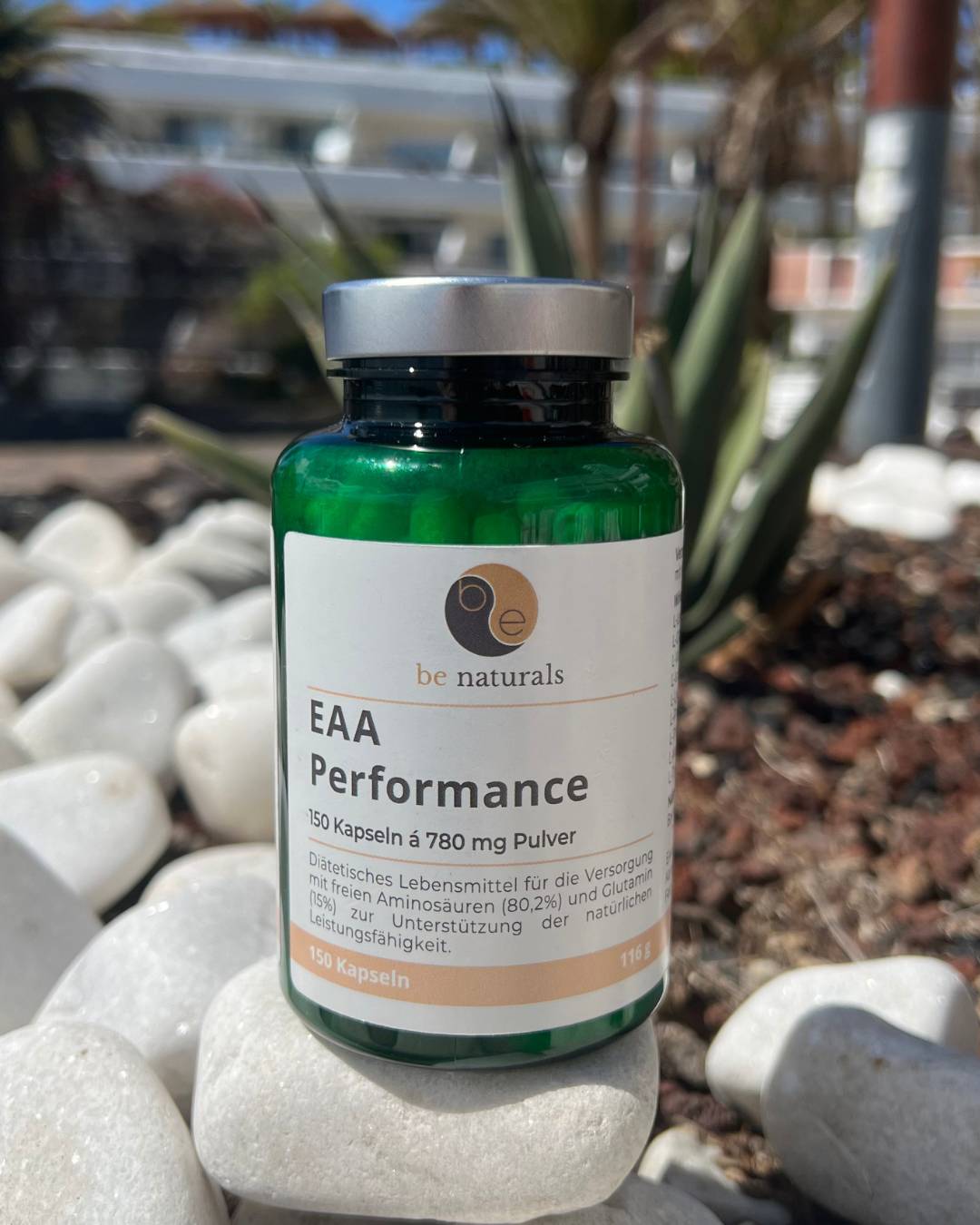 EAA´s Performance