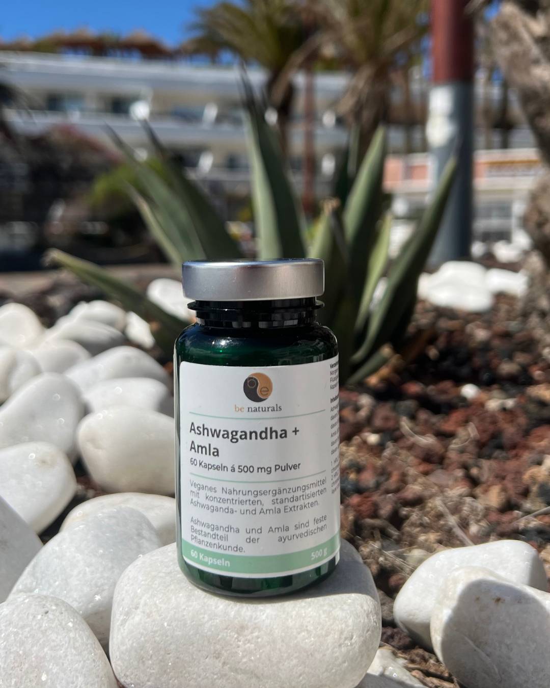 Ashwagandha Amla Komplex