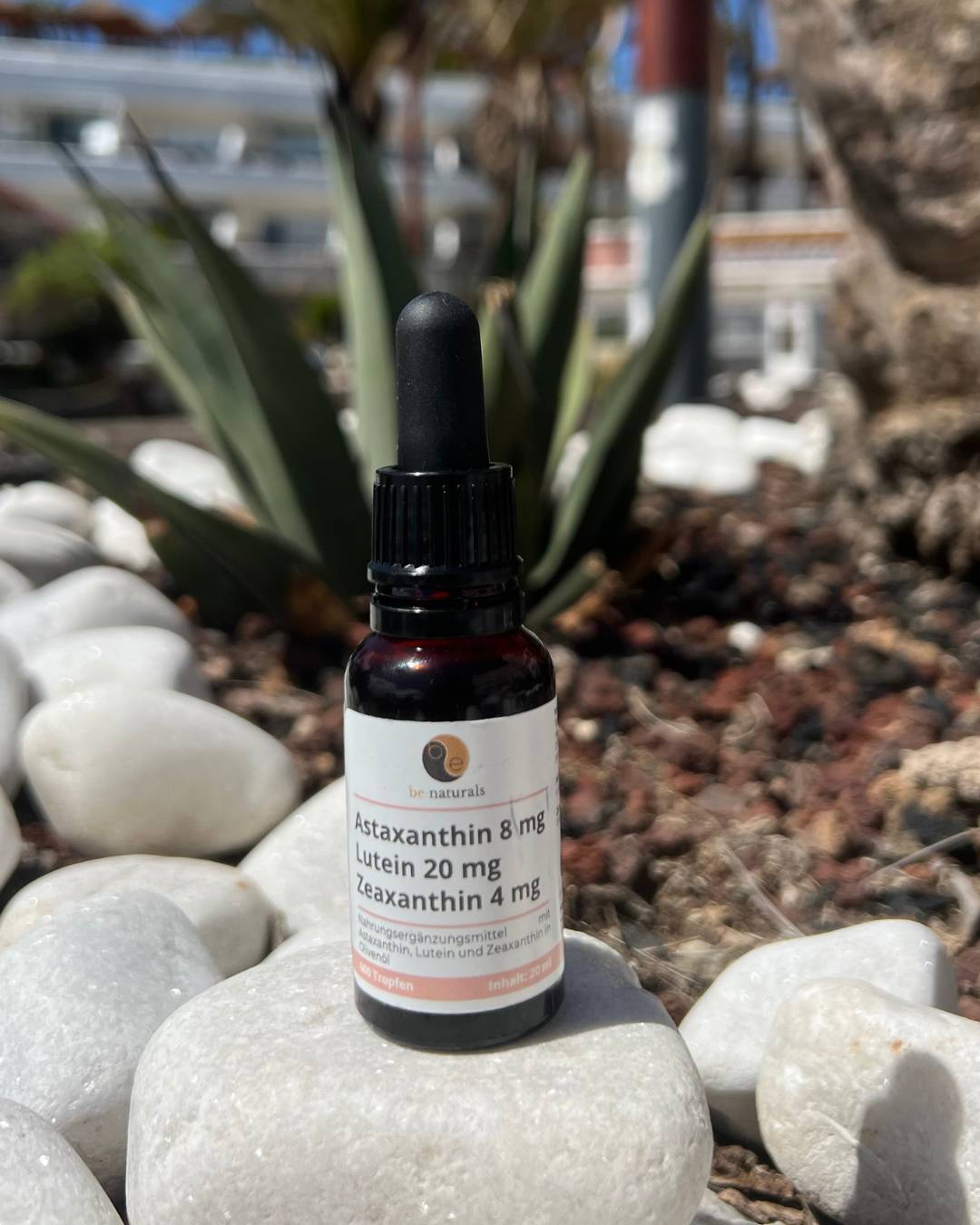 Astaxanthin Lutein Zeaxanthin Tropfen – mit Olivenöl, hochdosiert & vegan