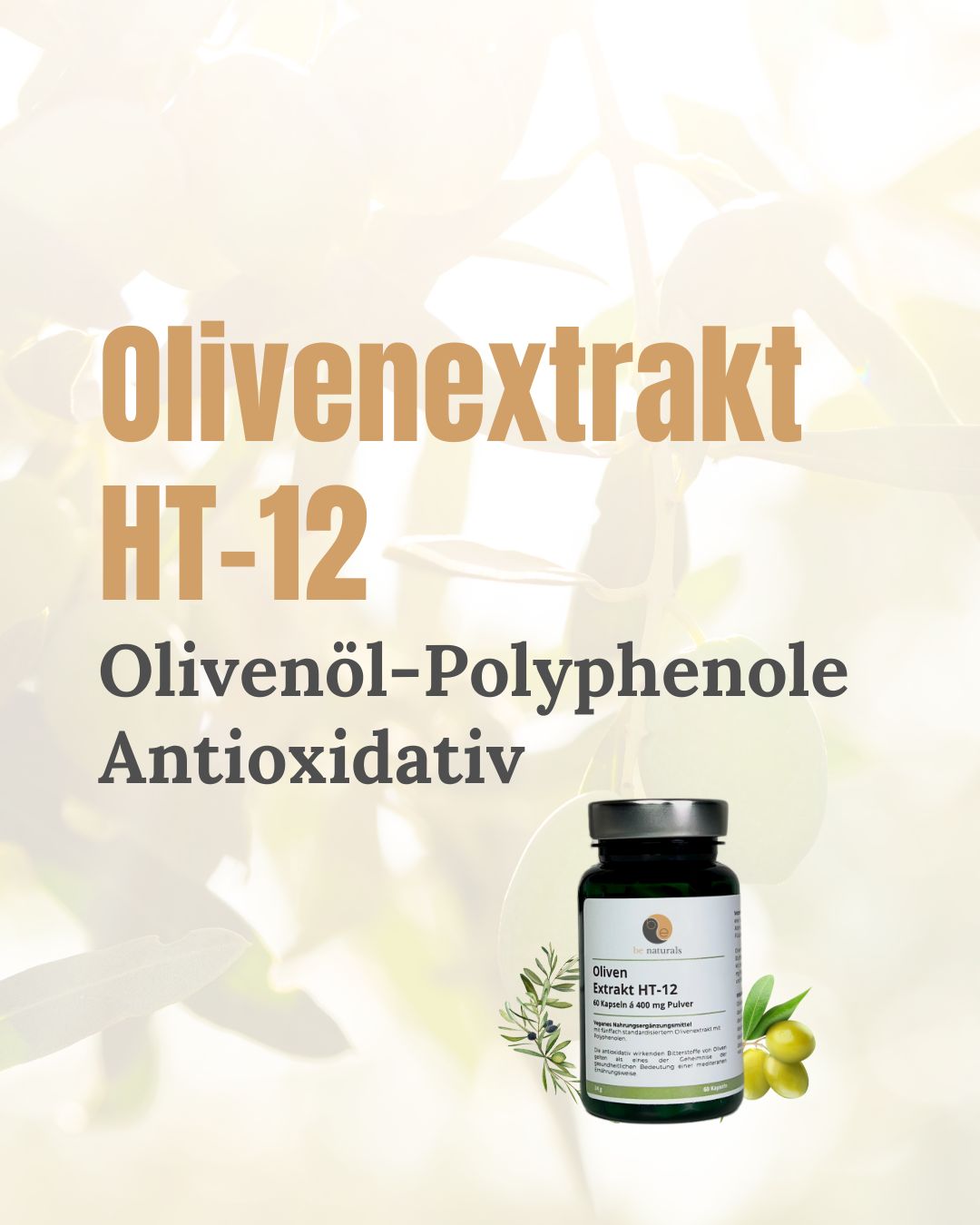 Oliven extrakt HT 12