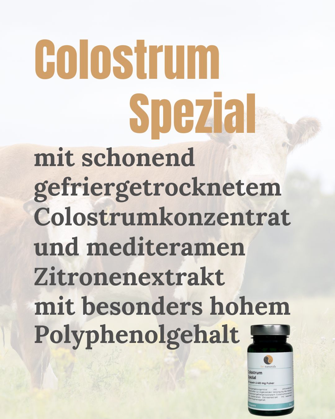 Colostrum Spezial Komplex