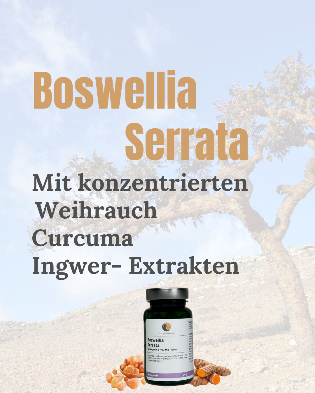 Kurkuma Boswellia Serrata Komplex