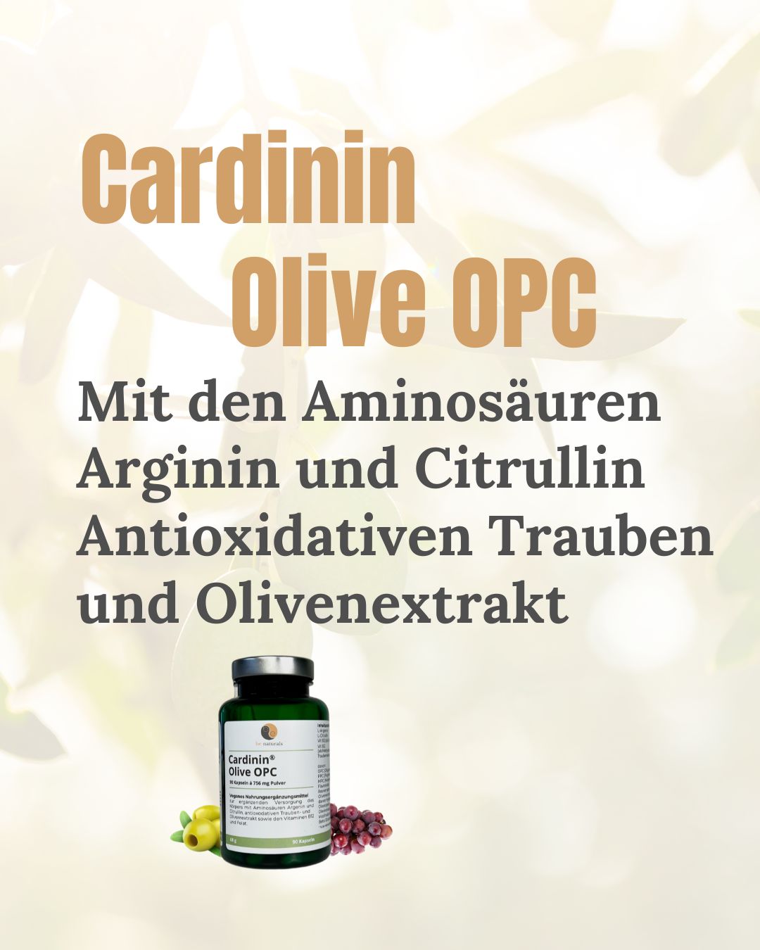 Cardinin Olive OPC