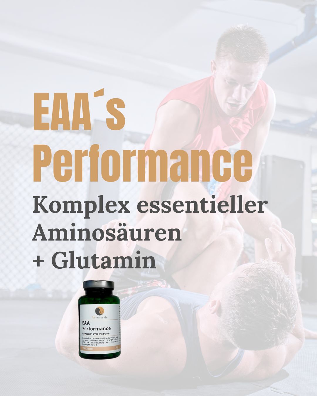 EAA´s Performance
