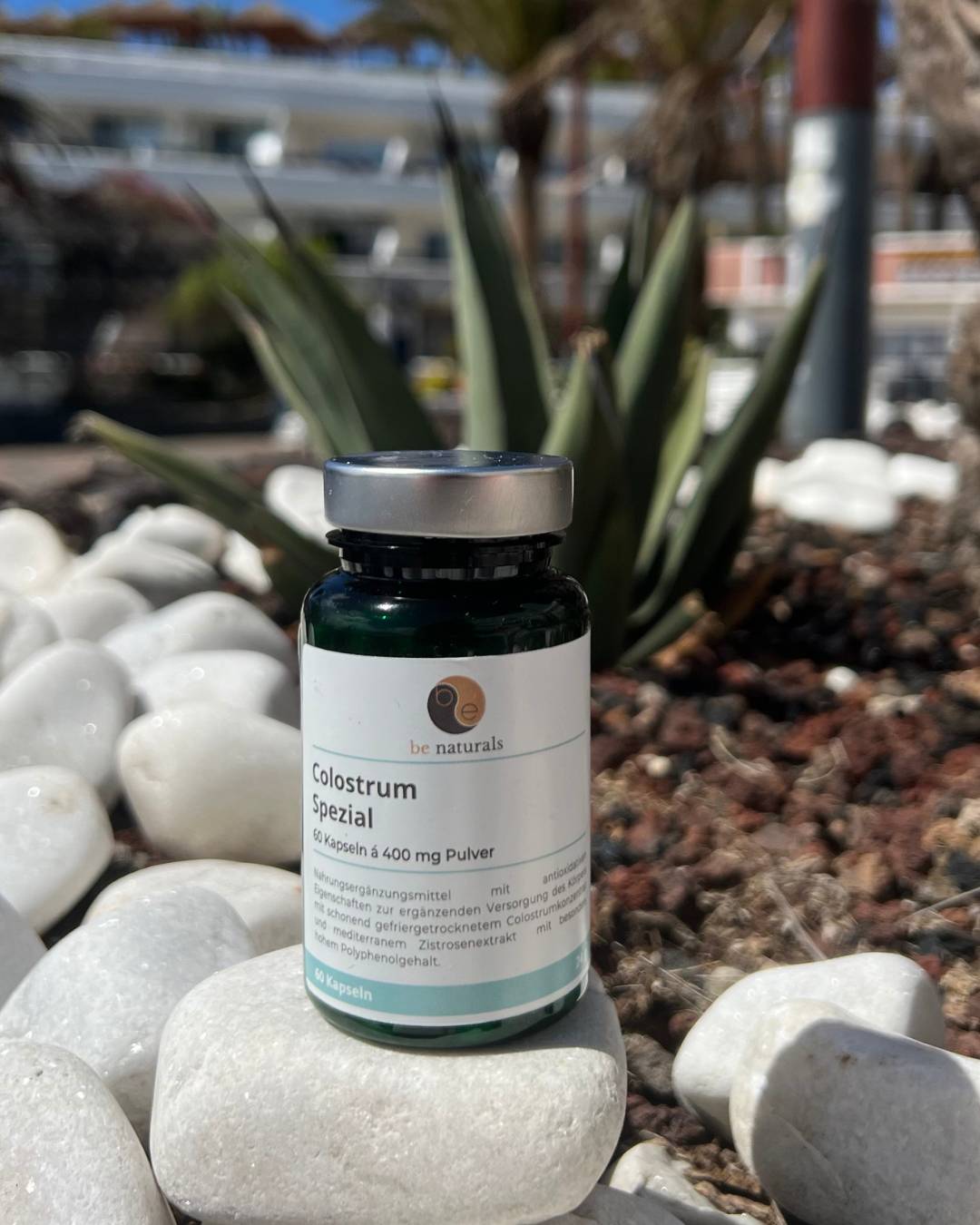 Colostrum Spezial Komplex