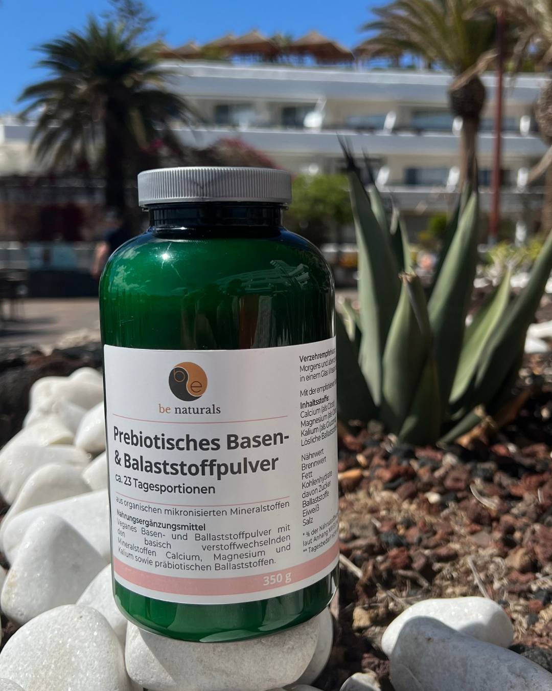 Prebiotisches Basen-Ballaststoffpulver