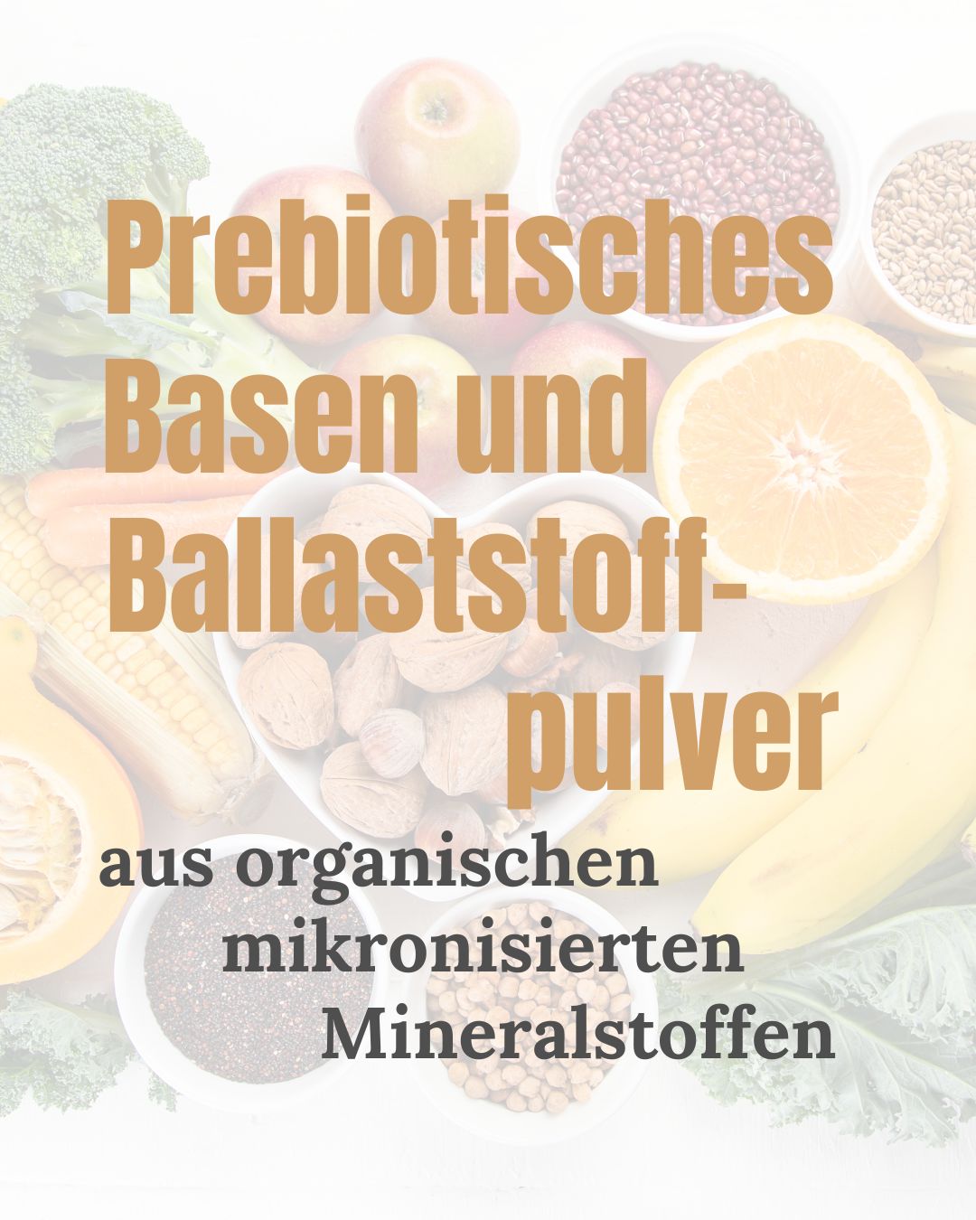 Prebiotisches Basen Ballastoffpulver - benaturals